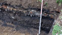 PFAS et assainissement  des sites pollués