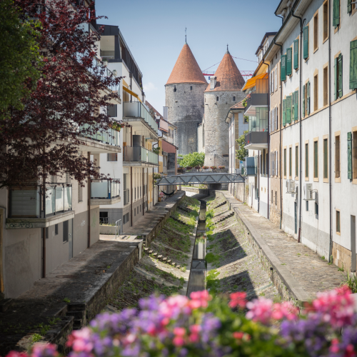 Melden Sie sich für unsere GV vom 19. Mai 2022 an!