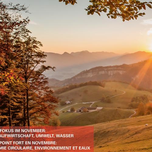 Die November-Ausgabe der «Schweizer Gemeinde» ist online