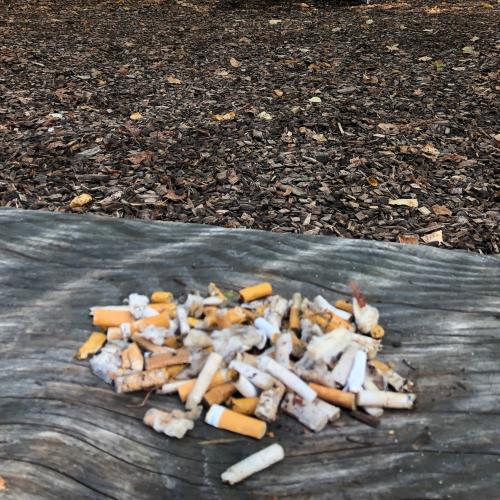 Campagna per parchi giochi senza fumo e contro il littering delle sigarette