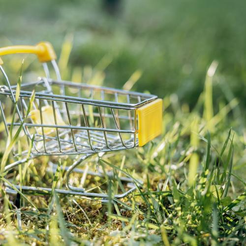 Öffentliche Beschaffung: Prüfungsexperten gesucht!