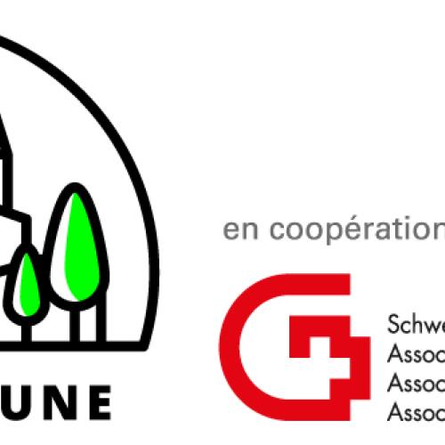Table ronde numérique du mercredi 30 septembre 2026 : la lettre numérique
