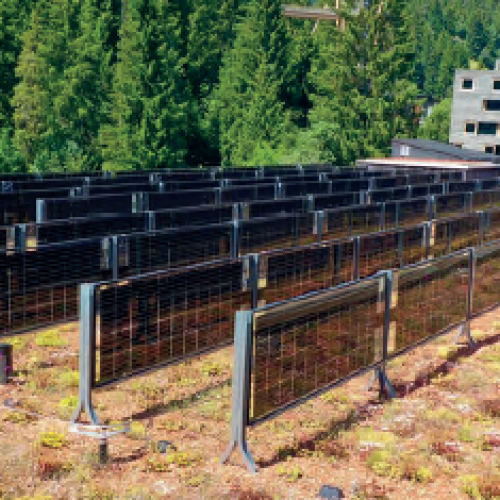 Ein Merkblatt zur Pflege und Wartung von Dachbegrünungen