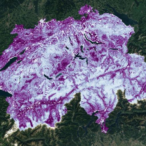 Neue BAFU-Publikation: «Vielfältige Werte der Natur»