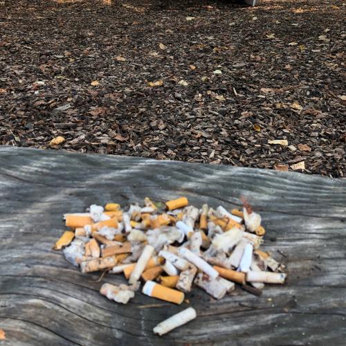 Campagne contre le littering de cigarettes et pour des places de jeux sans tabac