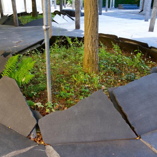 Manuel en faveur de plus de biodiversité dans le milieu bâti