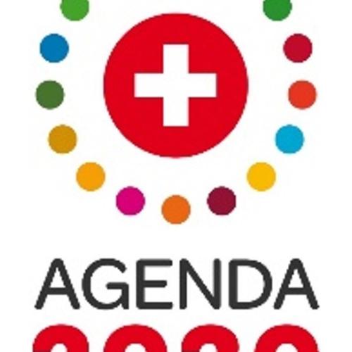 Etat des lieux pour rapport national sur la mise en œuvre de l'Agenda 2030