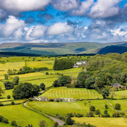 Bäuerliches Bodenrecht: Revision limitiert Handlungsspielraum der Gemeinden
