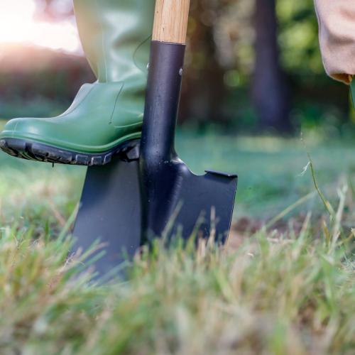 Erfolgreiche Zusammenarbeit von SGV und Grüner Branche