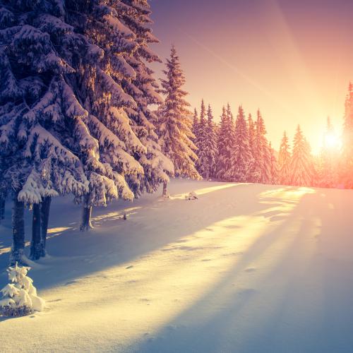 Der SGV vergibt seine Weihnachtsspende ins Centovalli