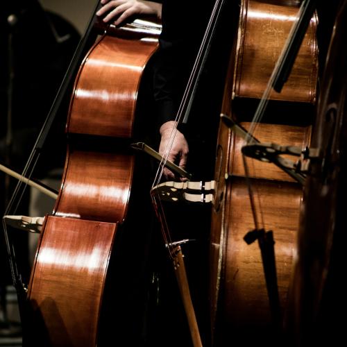 Raccomandazioni per i compensi agli operatori e alle operatrici culturali